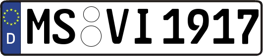 MS-VI1917