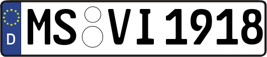MS-VI1918