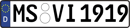 MS-VI1919
