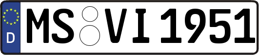 MS-VI1951
