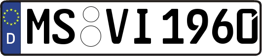 MS-VI1960