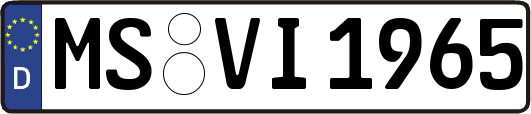 MS-VI1965