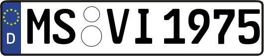 MS-VI1975