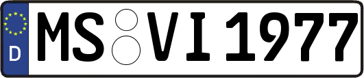MS-VI1977