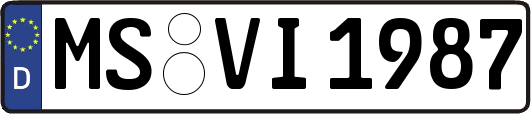MS-VI1987