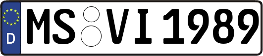 MS-VI1989
