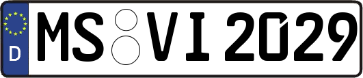 MS-VI2029