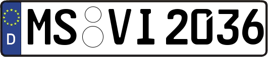 MS-VI2036