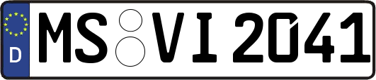 MS-VI2041