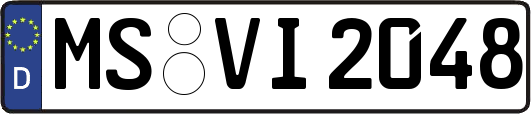 MS-VI2048
