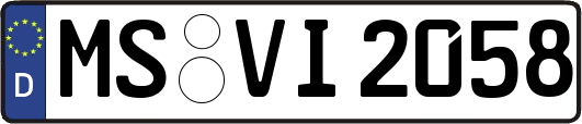 MS-VI2058