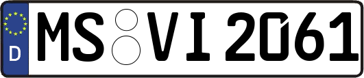 MS-VI2061