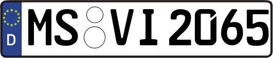 MS-VI2065