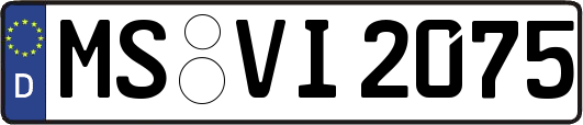 MS-VI2075