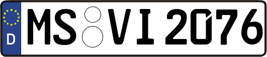MS-VI2076