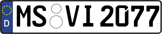 MS-VI2077