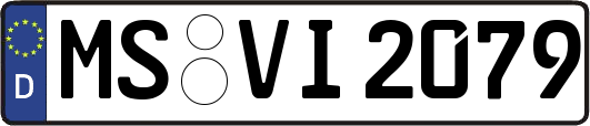 MS-VI2079