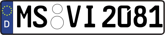 MS-VI2081