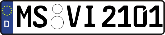 MS-VI2101
