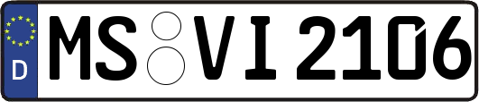 MS-VI2106