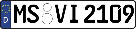 MS-VI2109