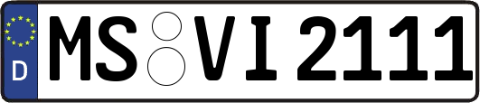 MS-VI2111