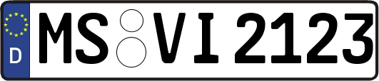 MS-VI2123