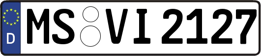 MS-VI2127