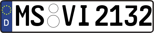 MS-VI2132