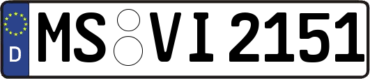 MS-VI2151