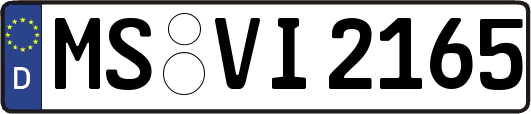 MS-VI2165