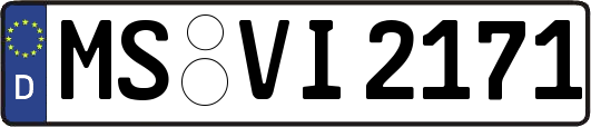 MS-VI2171