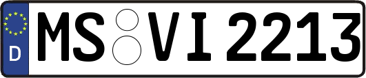 MS-VI2213