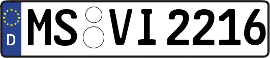 MS-VI2216