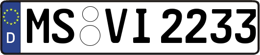 MS-VI2233