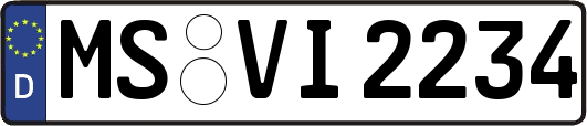 MS-VI2234