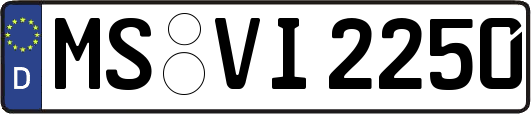 MS-VI2250