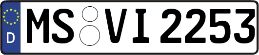 MS-VI2253