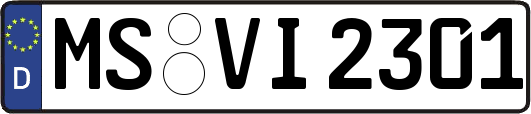 MS-VI2301