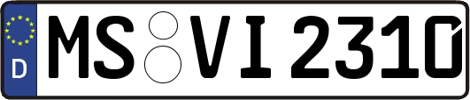 MS-VI2310