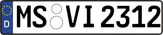 MS-VI2312