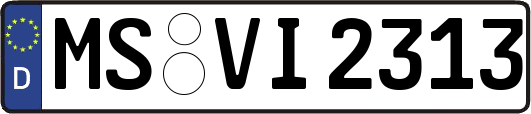 MS-VI2313