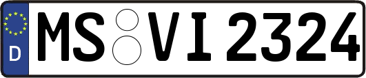 MS-VI2324