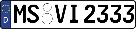 MS-VI2333