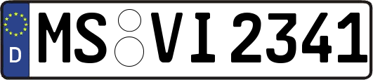 MS-VI2341