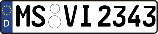 MS-VI2343