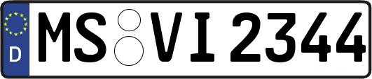 MS-VI2344