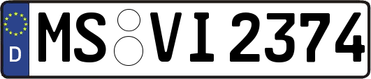 MS-VI2374