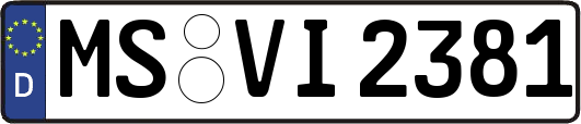 MS-VI2381