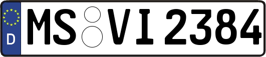 MS-VI2384